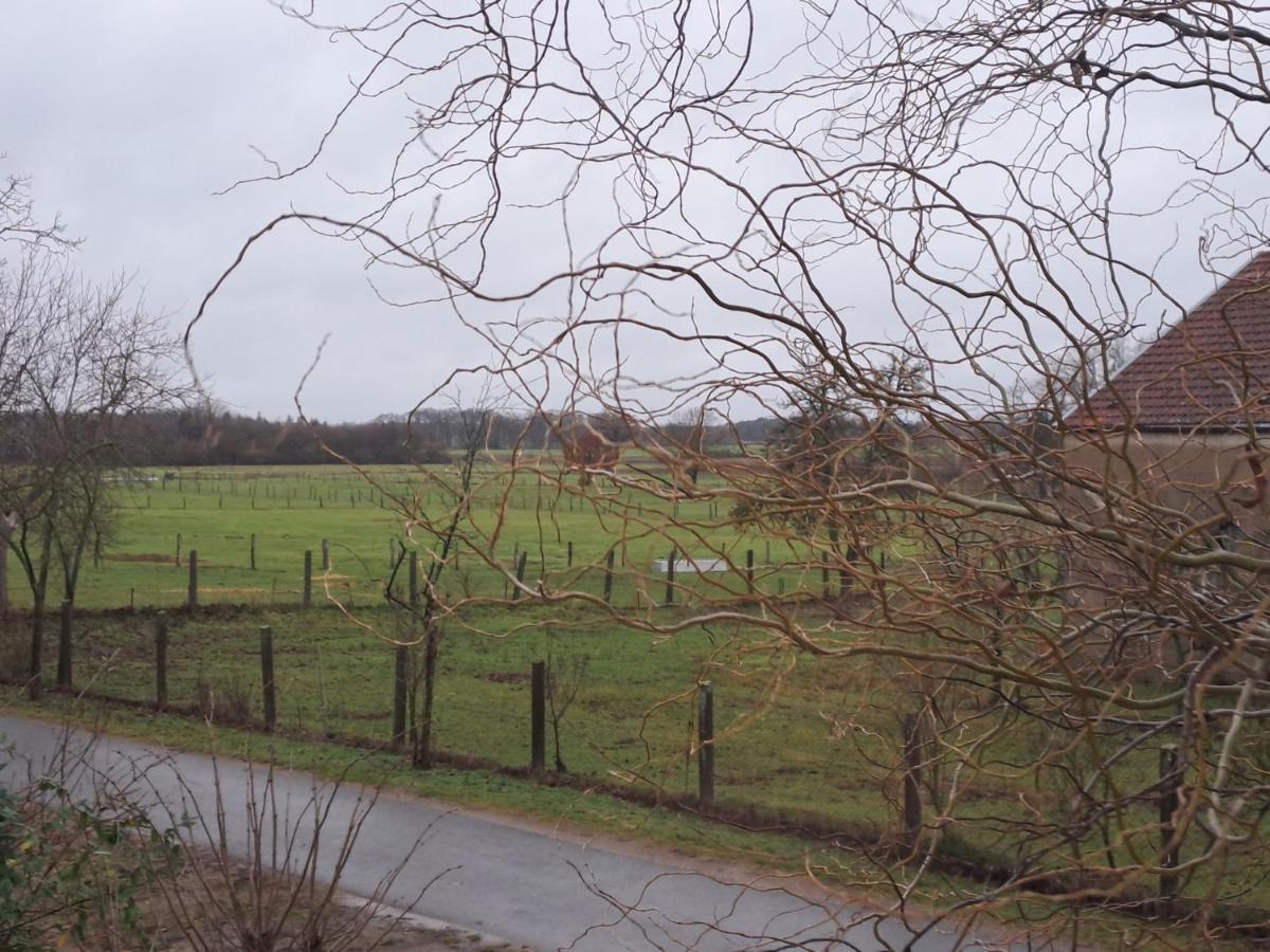 Gnaden- Und Ferienhof Saale Wittgenstein In The Middle Of Gar Nix Bismark Exteriör bild